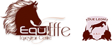 Equieffe logo