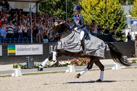 Glamourdale winner 7yo World Championships credits Hippofoto Dirk Caremans