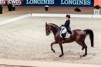 Isabell Werth GER Emilio FWC Lyon 2017 photo FEI Christophe Taniere 0 0