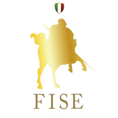 Logo FISE 7
