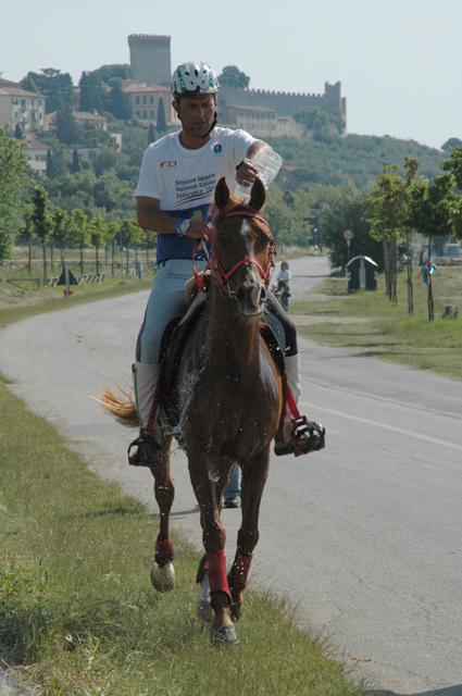 Mirko Orsogna