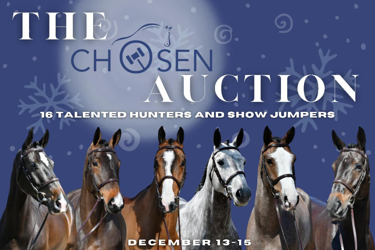 The chosen auction c
