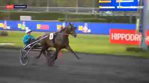 Vincennes violetto jet facebook.com