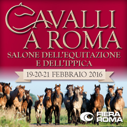 cavalli roma 2016 1