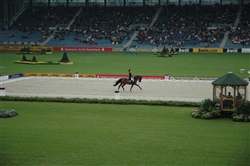 dressage aachen 2006 1