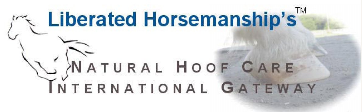 logoliberatedhorsemanship 1