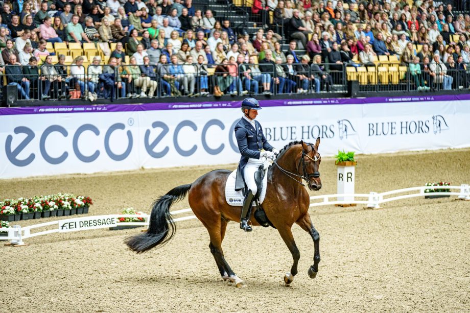 Patrik Kittel domina la prima tappa della World Cup di Dressage 2023/