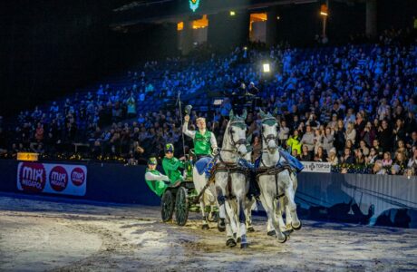 Bram Chardon at FEI Driving World Cup Stockholm