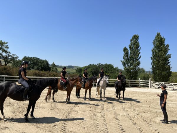 Urbino Horses - Lezione equitazione