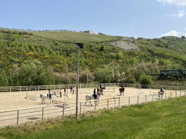 Urbino Horses - Campo in sabbia