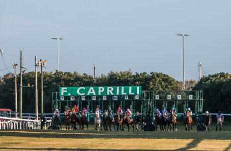 Partenza-all-ippodromo-federico-caprilli