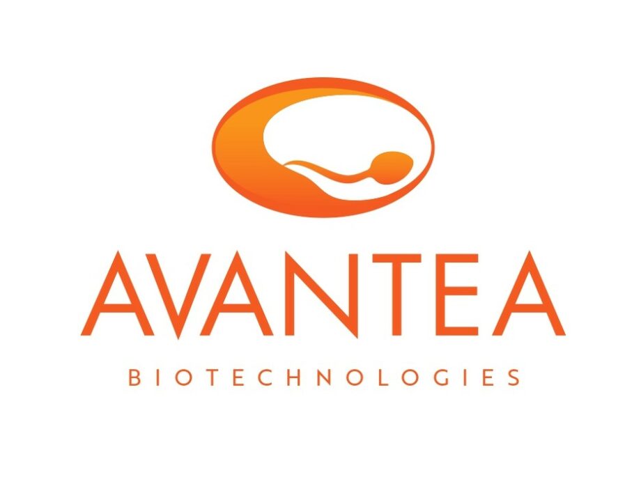 avantea logo