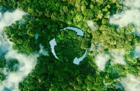 Foresta con simbolo della sostenibilità