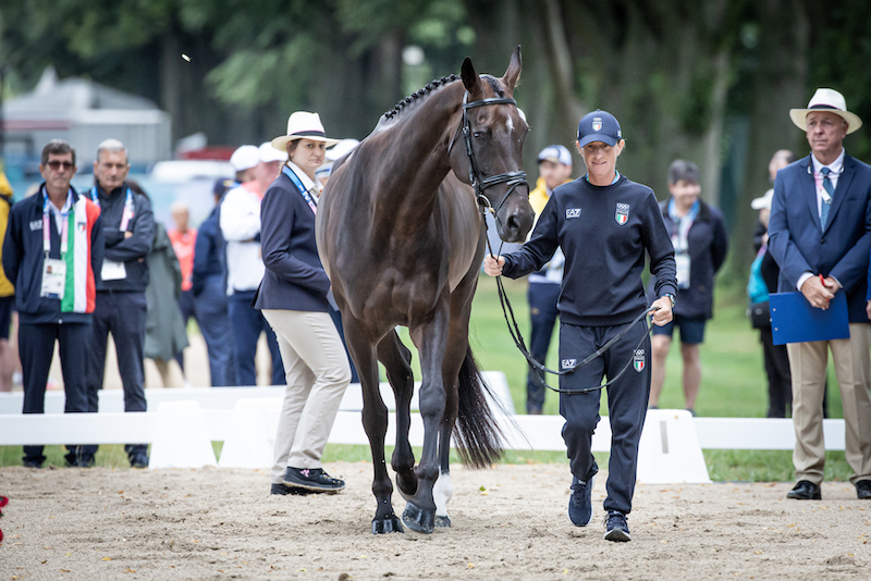 Evelina Bertoli (ITA) on Fidji Des Melezes, Parigi 2024 Olympic Games, Team Italia ispezione veterinaria preliminare