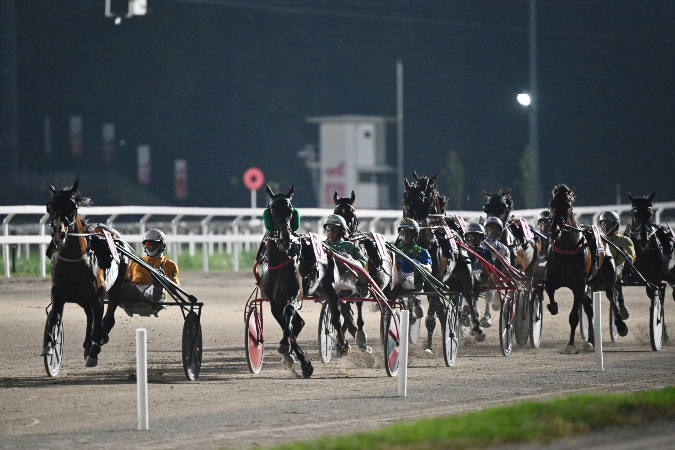 Corse trotto all'ippodromo snai san siro