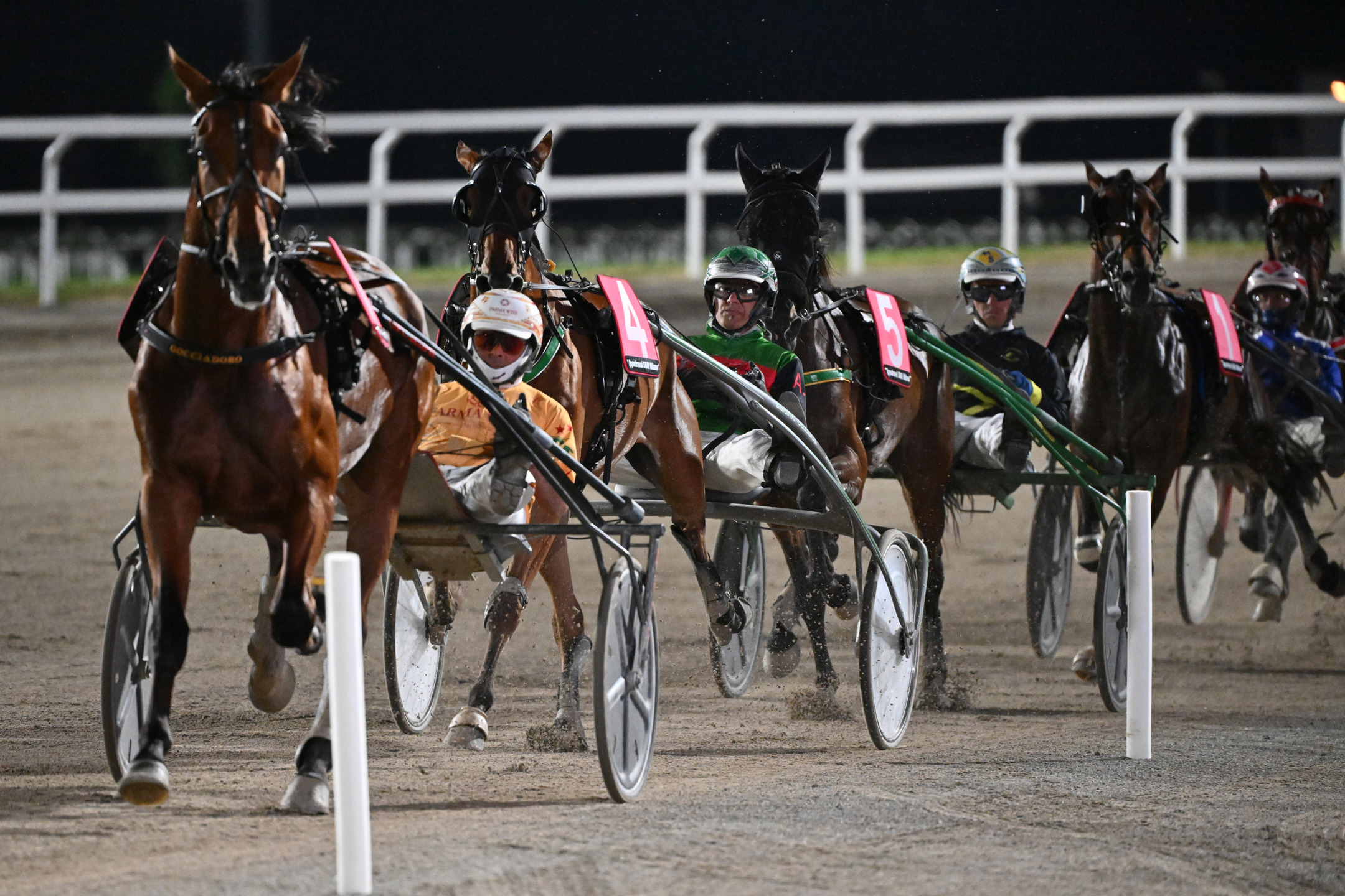 CORSA TROTTO IPPODROMO SNAI SAN SIRO_2024 - FOTO SNAITECH