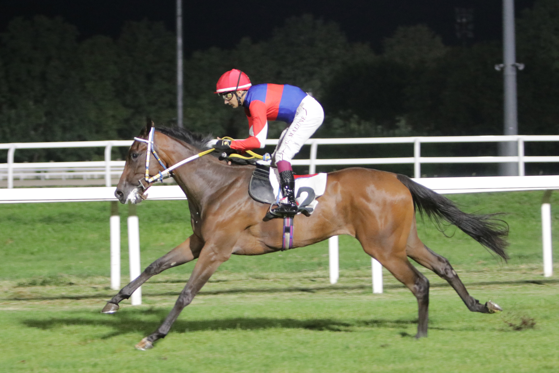 Premio Silvio Carletti all'ippodromo Snai San Siro