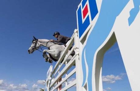 Donald Whitaker su Millfield Colette - Agria Royal International Horse Show 2024