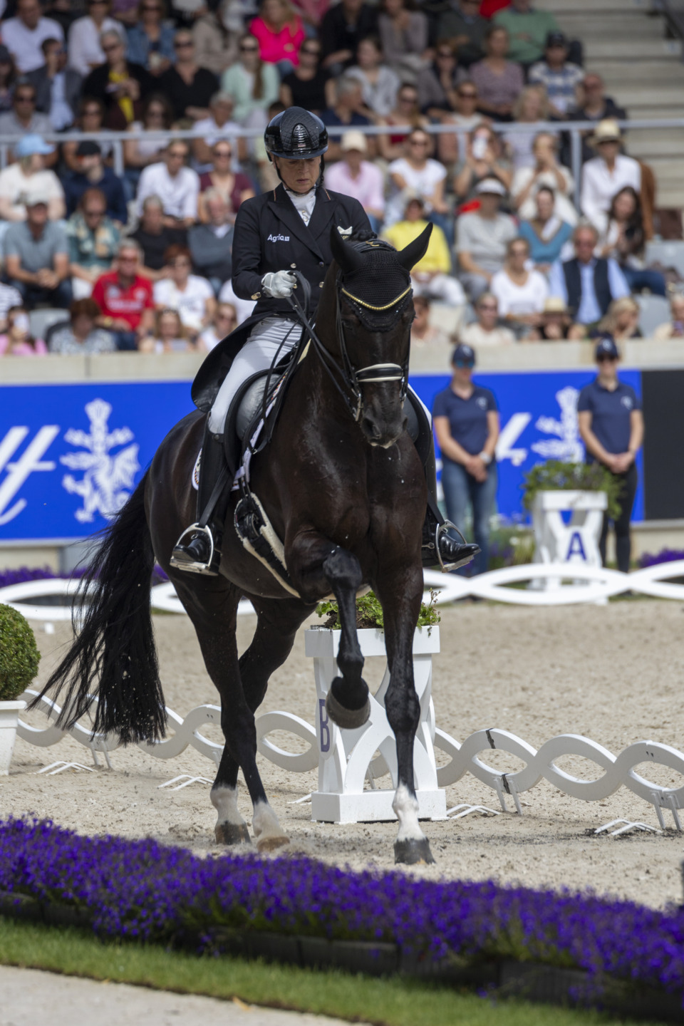 Isabell Werth - Wendy - CHIO Rolex Aachen 2024 - Aachen - 7 July 2024 - ph.Stefano Secchi/ Imagess 