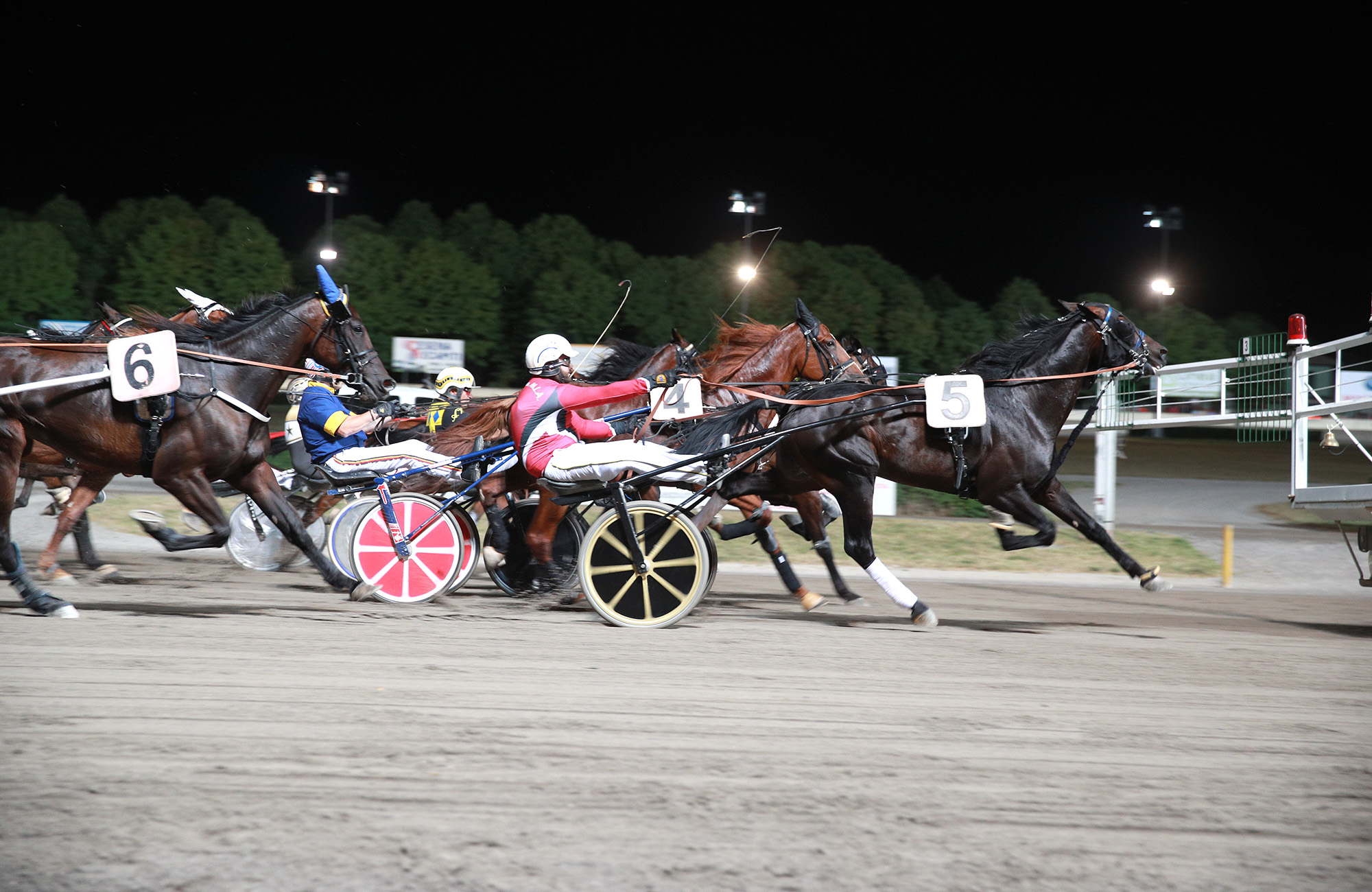 Ippodromo Cesena trotto