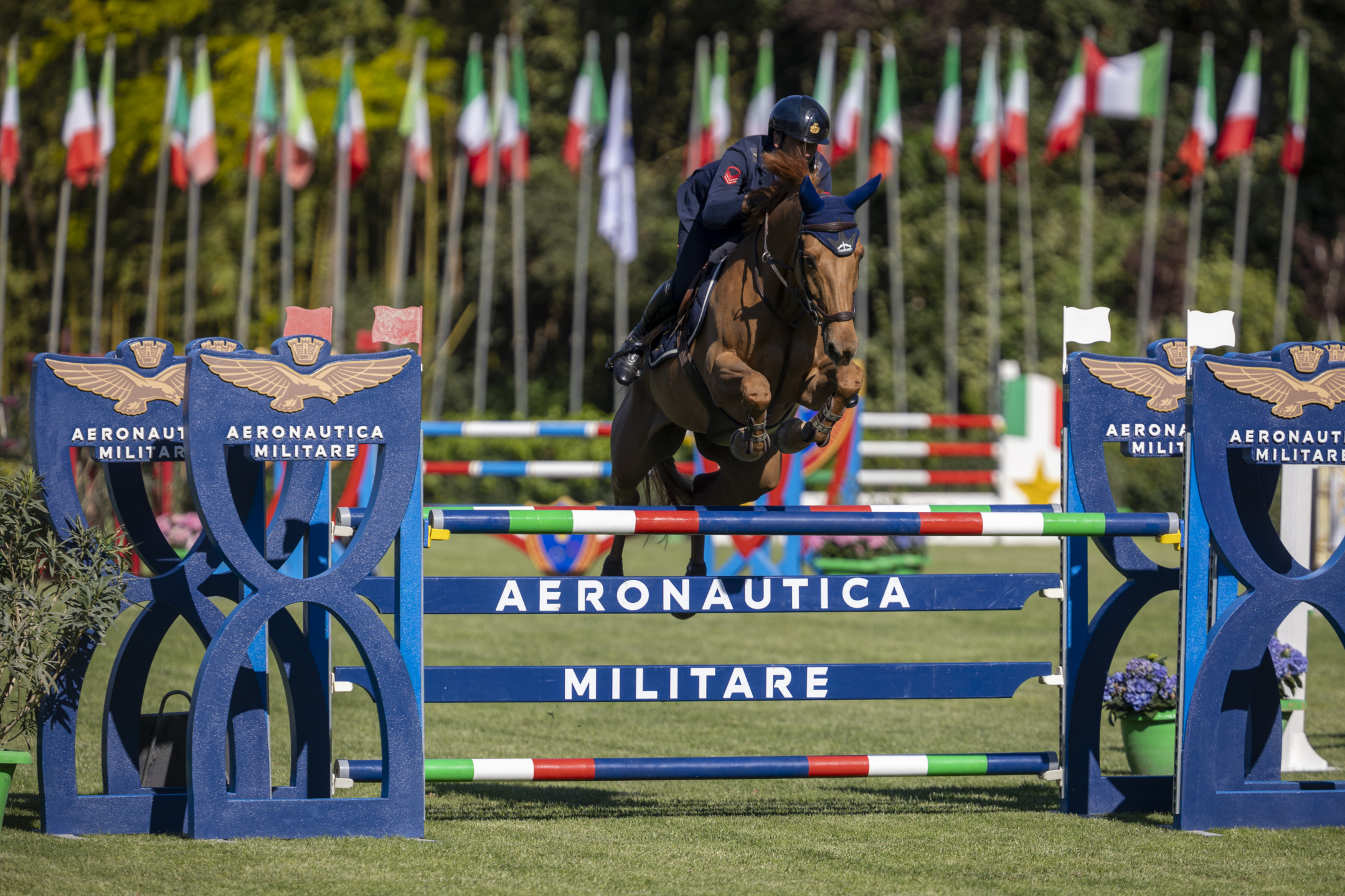 Emilio Bicocchi su Divina a Samorin CSI3* 2024