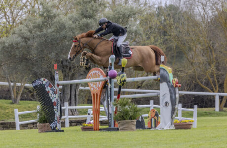 Arnaldo Bologni vince il CSI3* di Le Siepi a cervia 2024