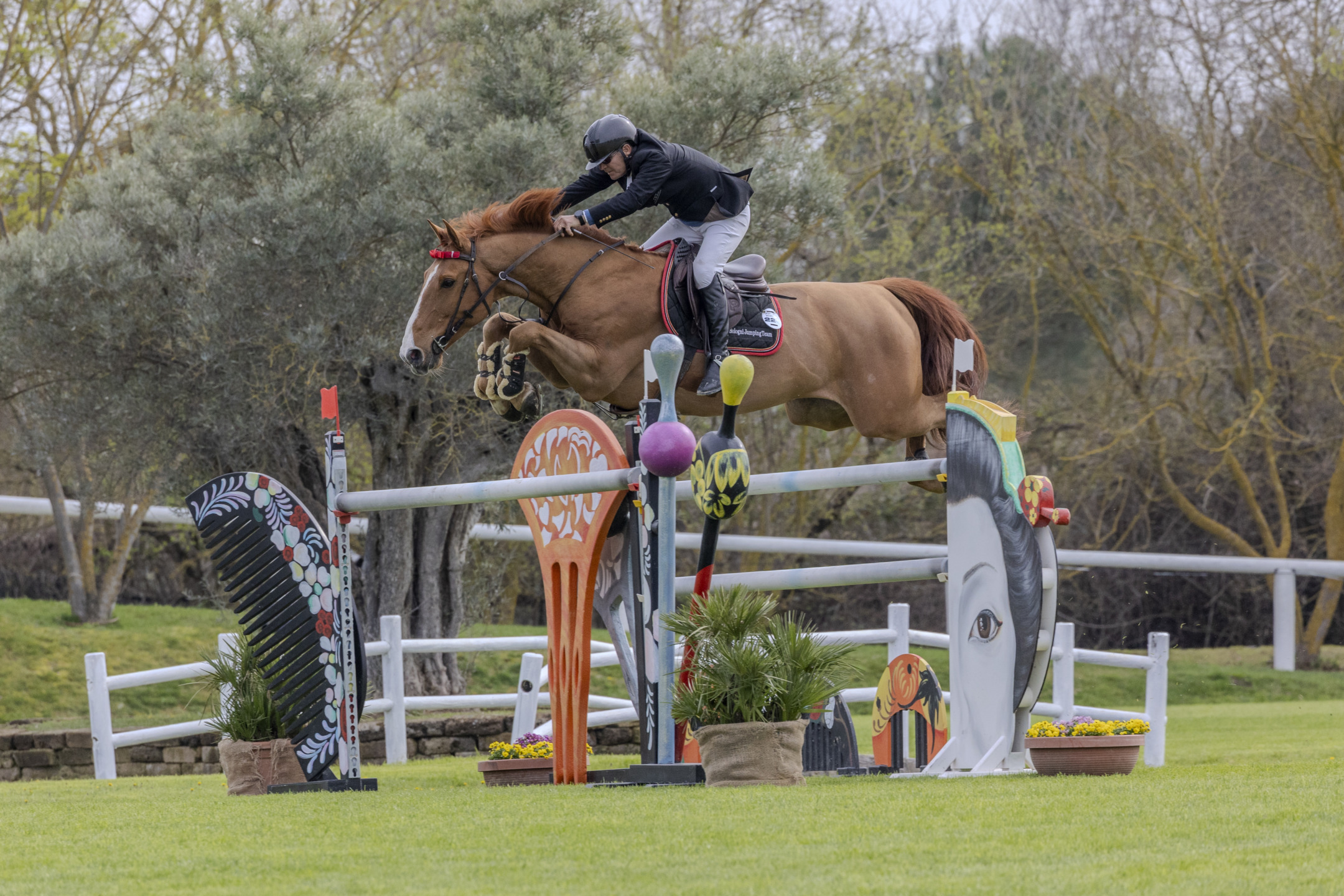 Arnaldo Bologni vince il CSI3* di Le Siepi a cervia 2024