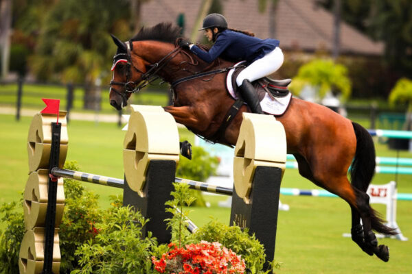 Frankie Chesler & Ibalius SMH in the $10,000 Evermore Bank 1.40m Stake © Cassidy Klein