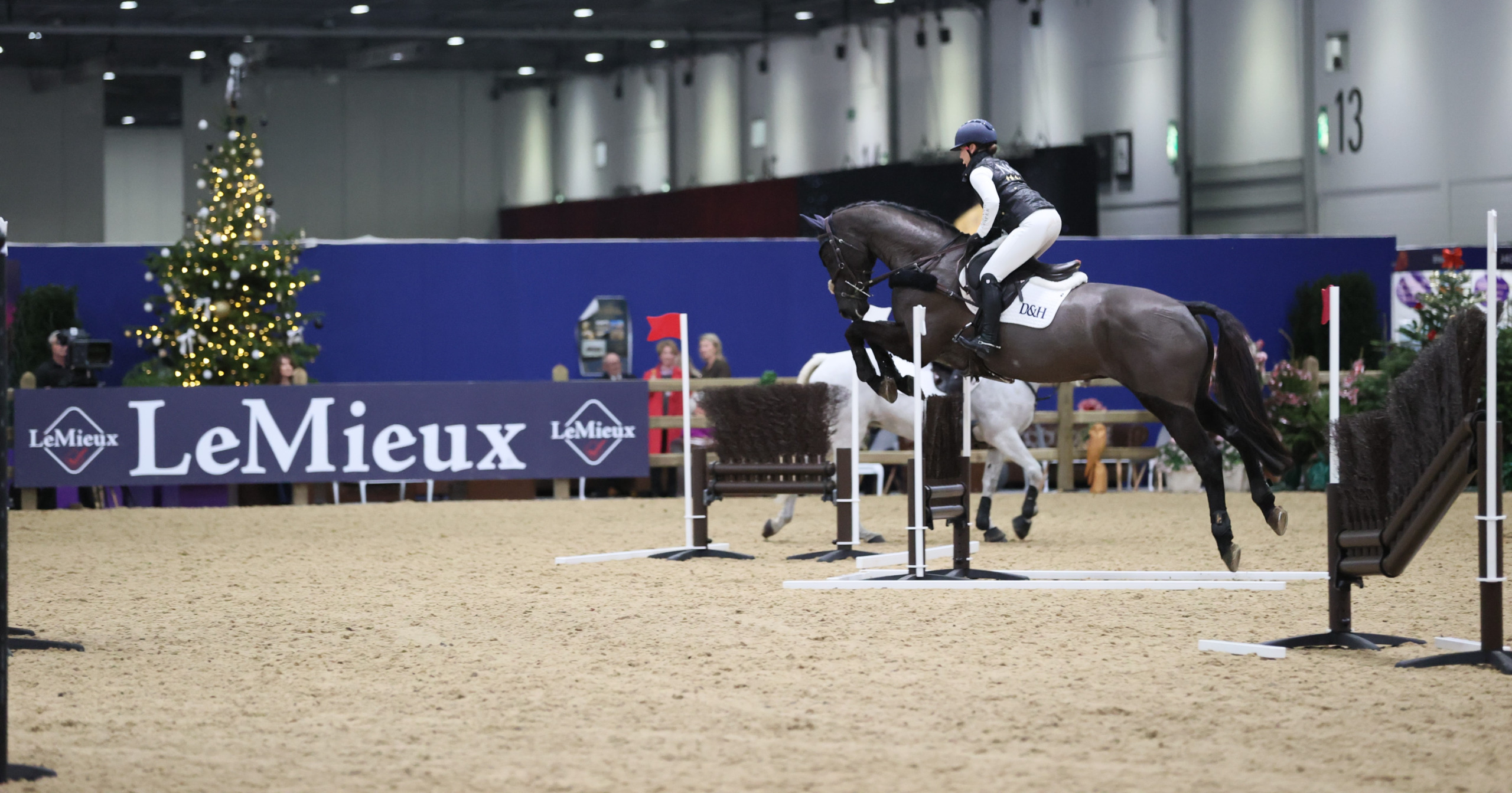 London International Horse Show