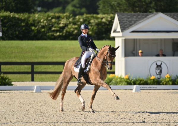 The FEI dressage competition WEC Ocala Photo by Andrew Ryback Photography