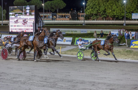 Ippica Cesena Trotto, Gran Premio Calzolari,