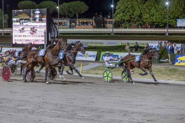 Ippica Cesena Trotto, Gran Premio Calzolari,