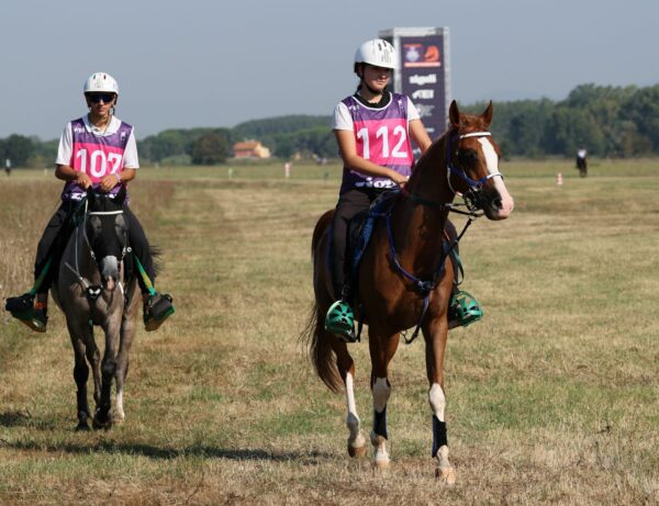 Endurance, Castiglione del Lago, 2024 campionato Zigulì.