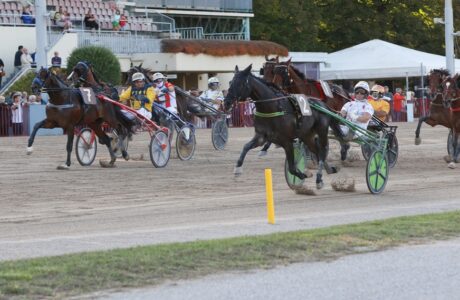 Arrivo Continentale Dimitri Ferm Ippodromo dell'arcoveggio