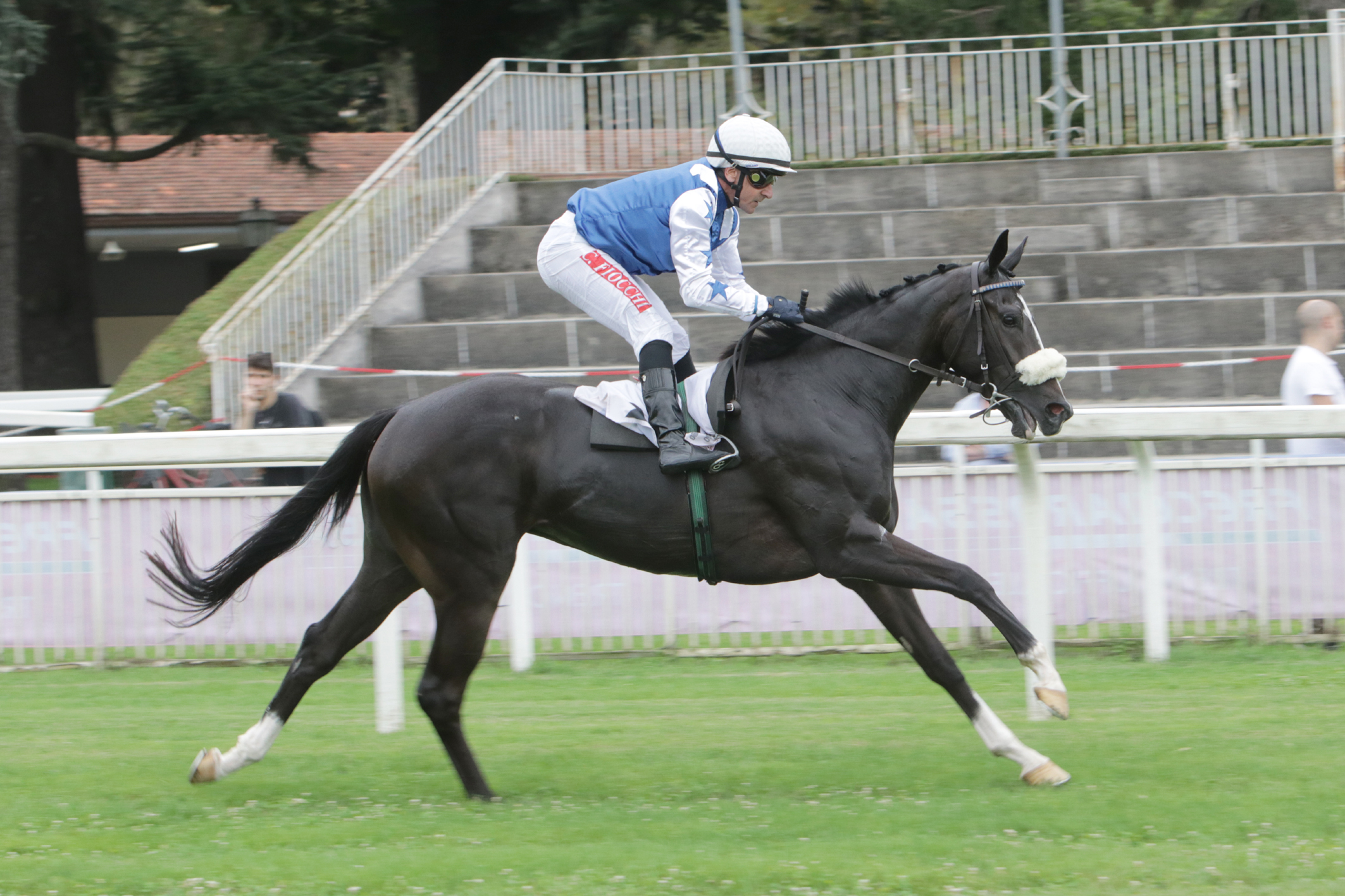 Arrivo Corsa Premio Ancilla Ferrario all'Ippodromo Snai San Siro di Milano