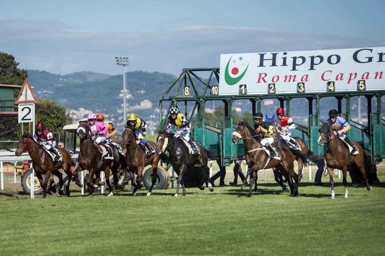 Partenza corsa all'ippodromo Capannelle di Roma