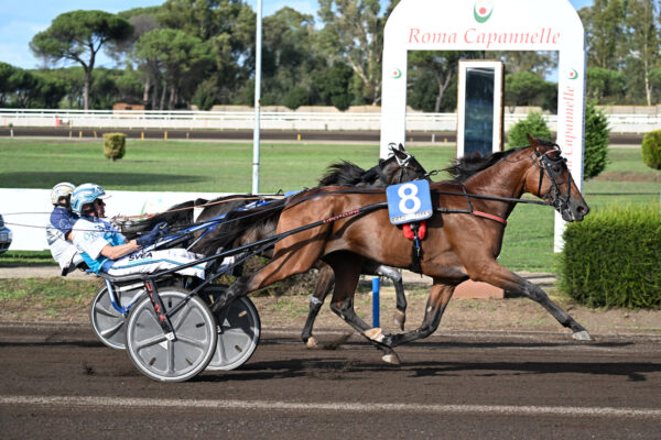 Arrivo Derby Italiano del Trotto all'ippodromo delle capannelle, batteria C