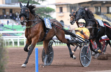 EXPO WISE AS vince la Batteria A del Derby all'ippodromo Capannelle