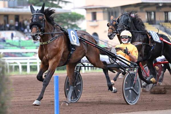 EXPO WISE AS vince la Batteria A del Derby all'ippodromo Capannelle