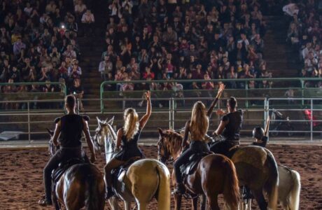 Gala Equestre alla Mostra Nazionale del Cavallo