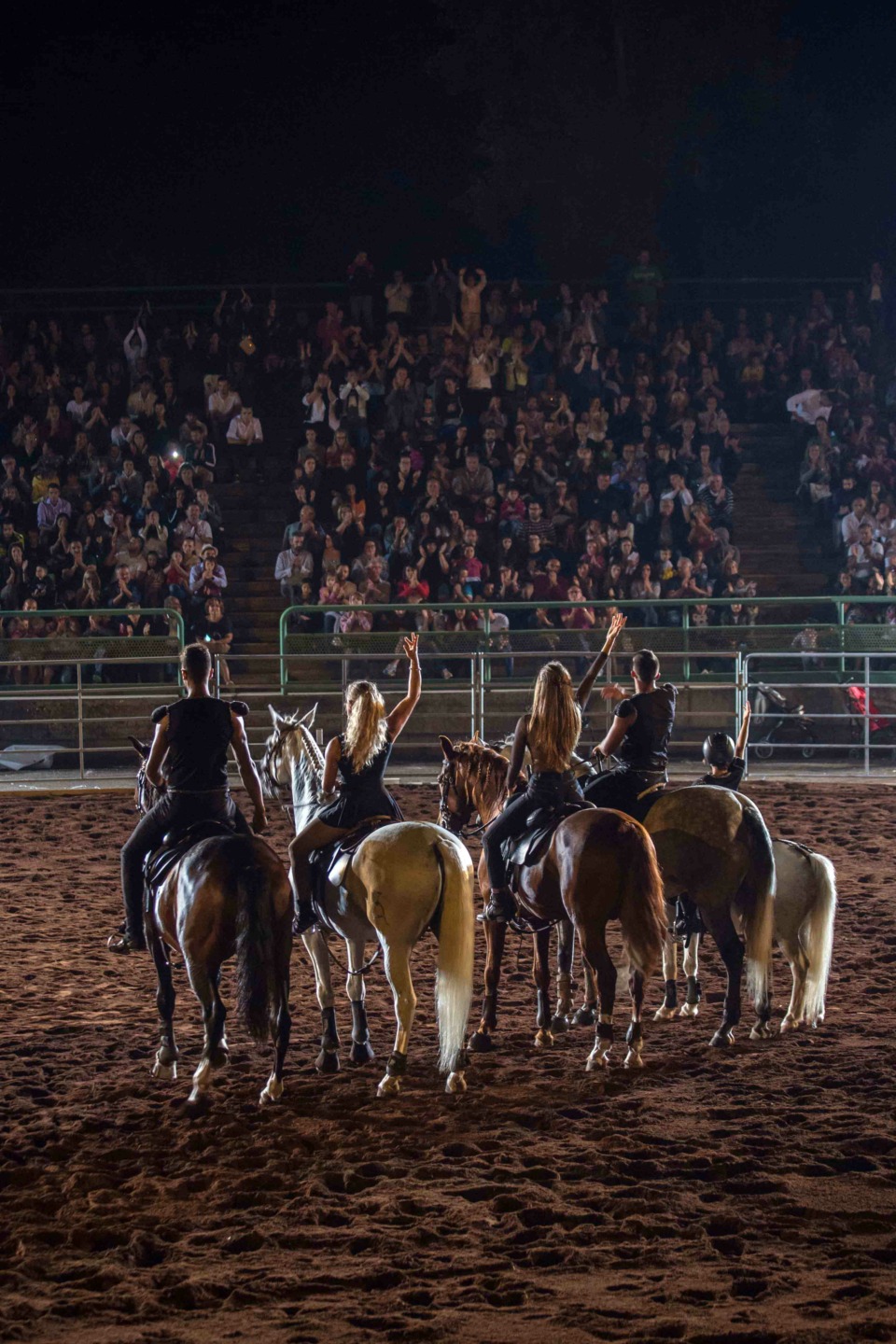 Gala Equestre alla Mostra Nazionale del Cavallo