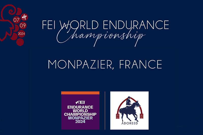 Mondial endurance Asenior MONPAZIER-2024