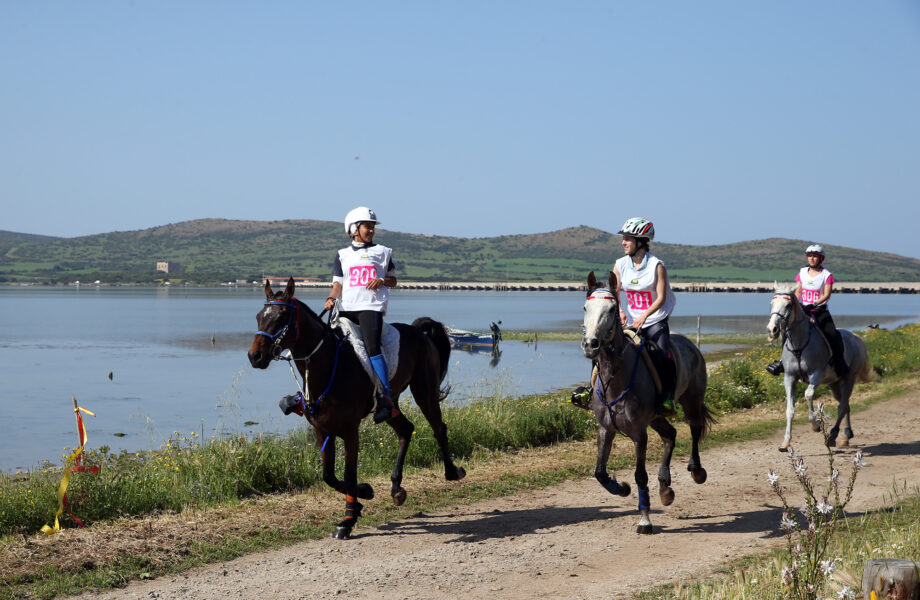 Sardegna Endurance Festival 2