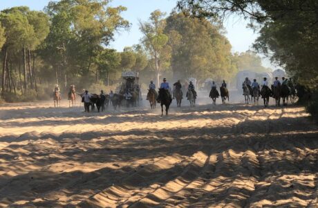 cavalli e persone durante il pellegrinaggio della Romería del Rocío