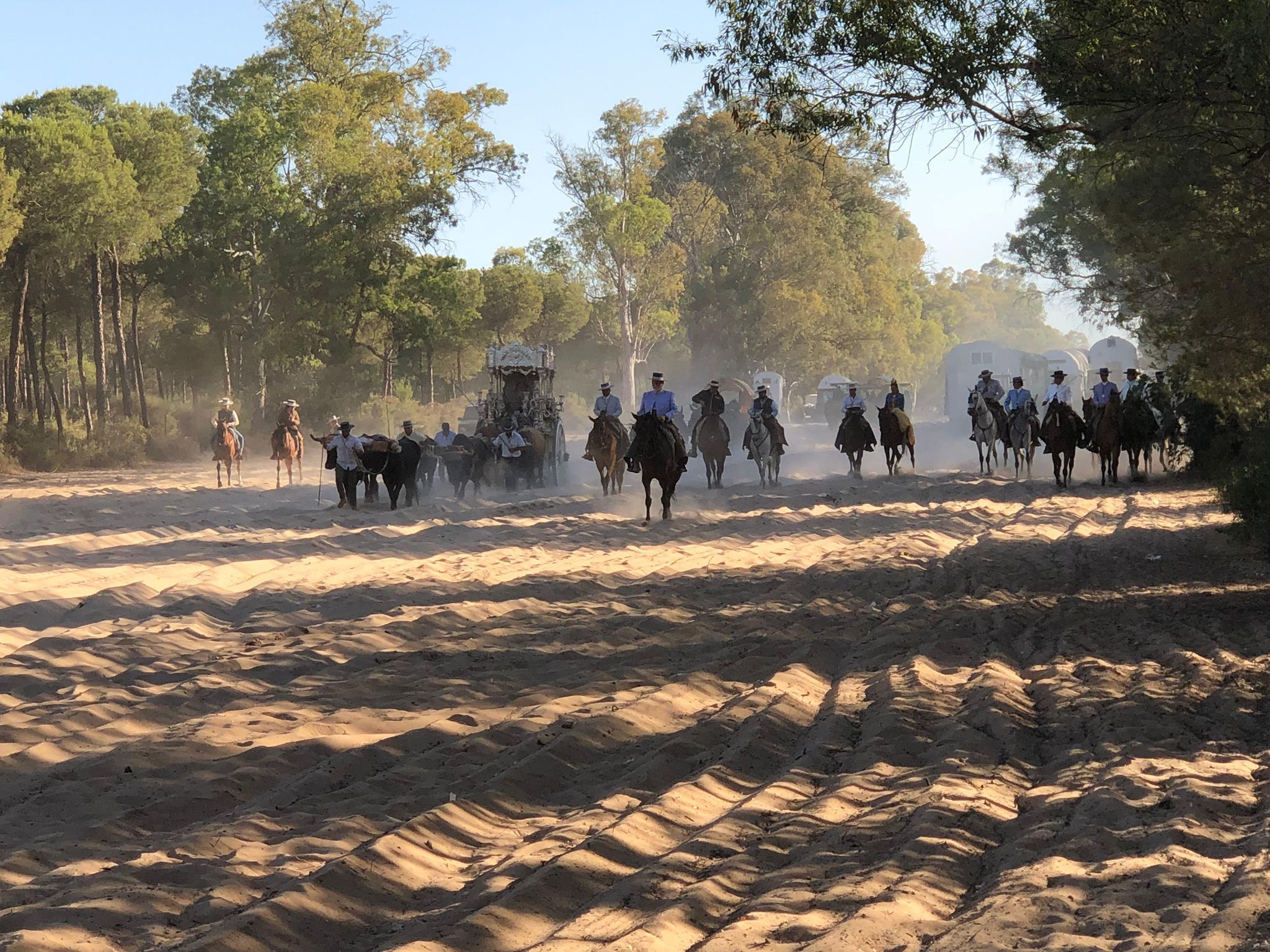 cavalli e persone durante il pellegrinaggio della Romería del Rocío