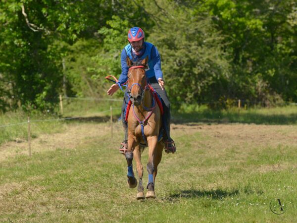 Julien Lafaure durante una gara di Endurance