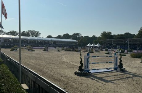 Campo ostacoli FEI WBFSH Jumping World Breeding Championship for Young Horses