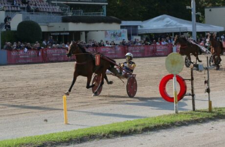 Arrivo GP continentale all'ippodromo Arcoveggio di Bologna