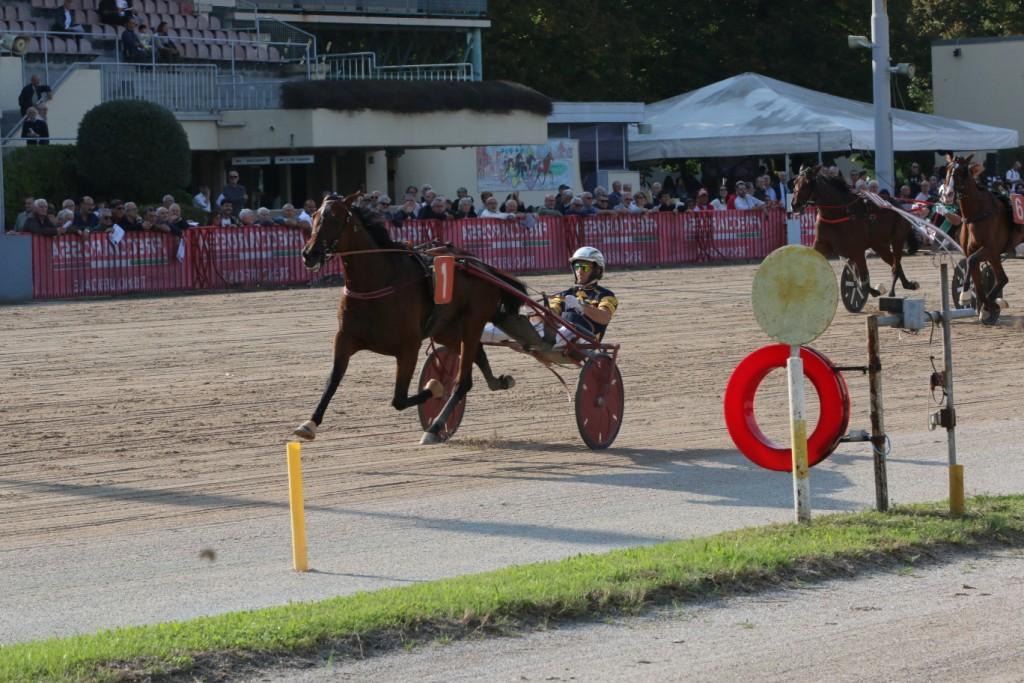 Arrivo GP continentale all'ippodromo Arcoveggio di Bologna