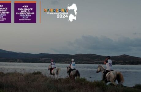 Endurance Sardegna Arborea Horse Country Resort